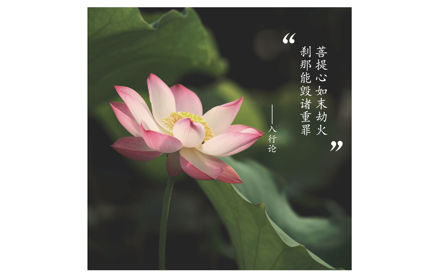 图片16.png