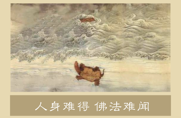 人身难得 佛法难闻