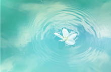 微风细雨润心间