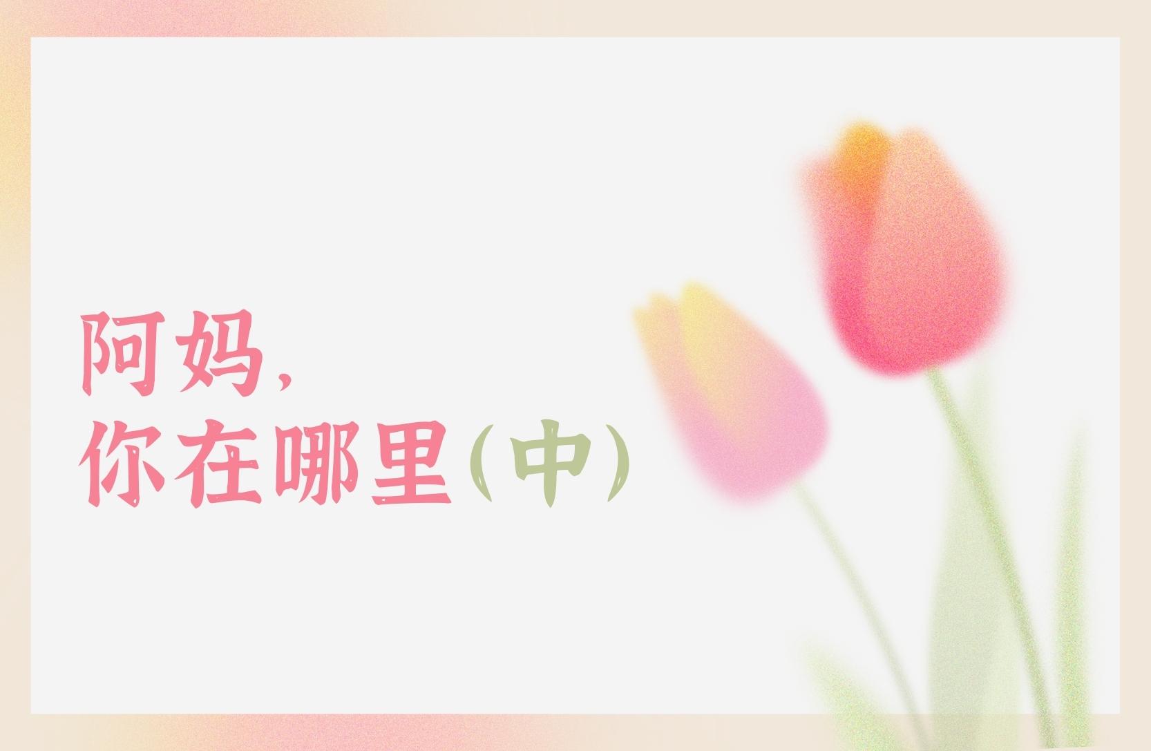 阿妈，你在哪里（中）